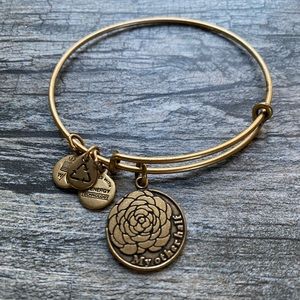 Alex and Ani My Other Half charm bracelet